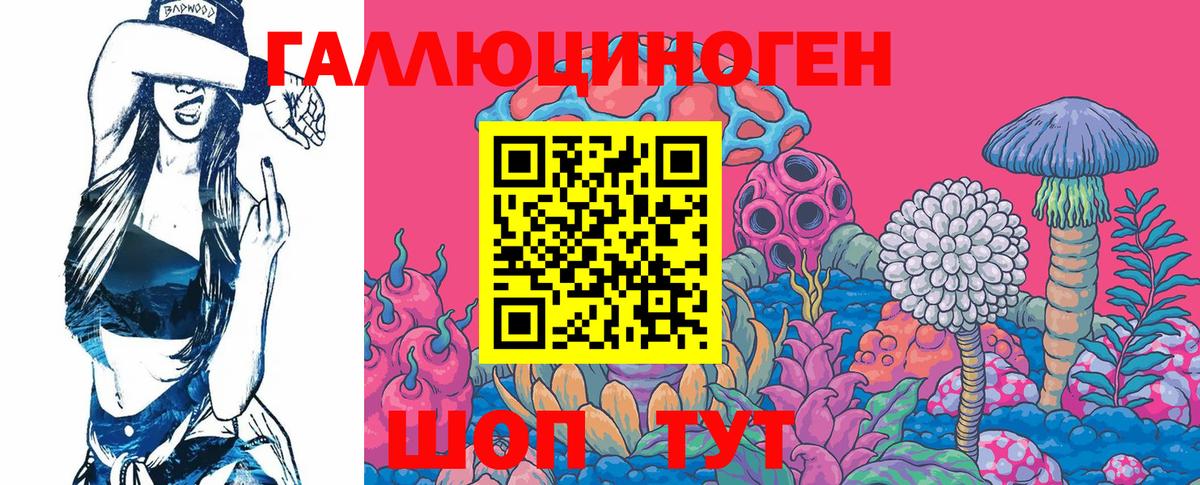 Старая Купавна  Псилоцибиновые грибы Psilocybe  Вход с VPN 